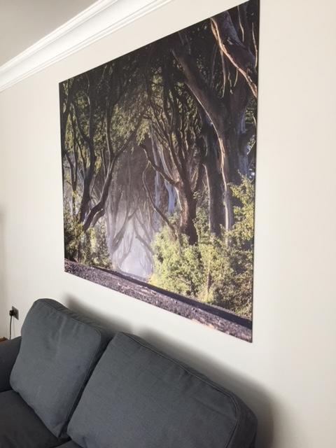 Dark Hedges Cottage Балликасл Экстерьер фото